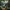 Worldon NFTsky on NFTsky
